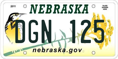 NE license plate DGN125