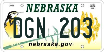 NE license plate DGN203