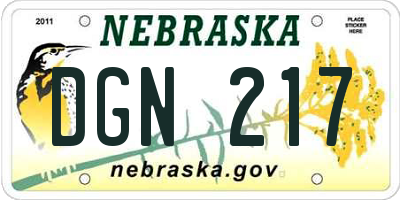 NE license plate DGN217