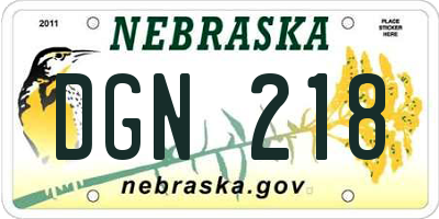 NE license plate DGN218