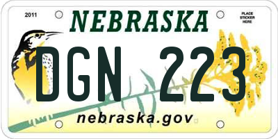 NE license plate DGN223