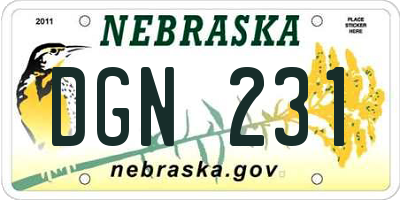 NE license plate DGN231