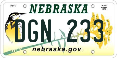 NE license plate DGN233