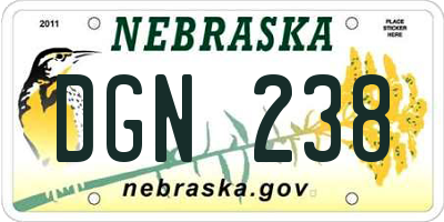 NE license plate DGN238
