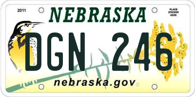 NE license plate DGN246