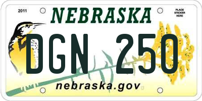 NE license plate DGN250