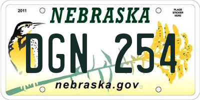NE license plate DGN254