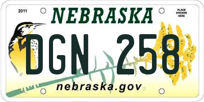 NE license plate DGN258