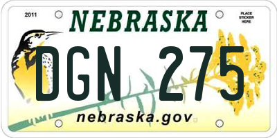NE license plate DGN275