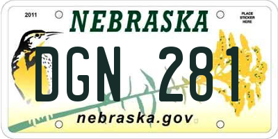 NE license plate DGN281