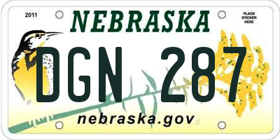 NE license plate DGN287