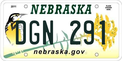 NE license plate DGN291