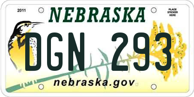 NE license plate DGN293