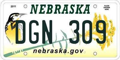 NE license plate DGN309