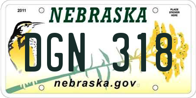 NE license plate DGN318