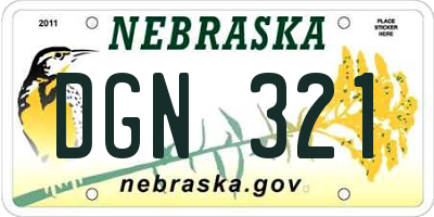 NE license plate DGN321