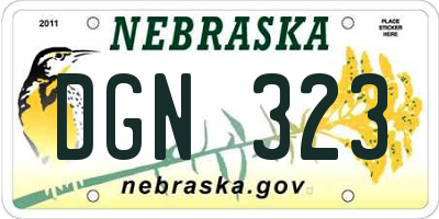 NE license plate DGN323