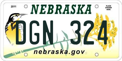 NE license plate DGN324
