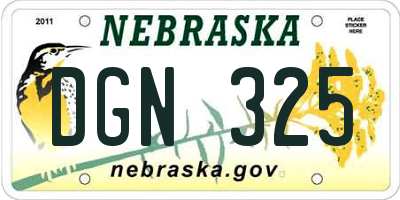 NE license plate DGN325