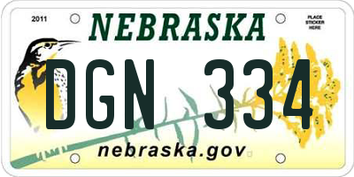 NE license plate DGN334