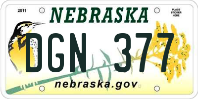 NE license plate DGN377