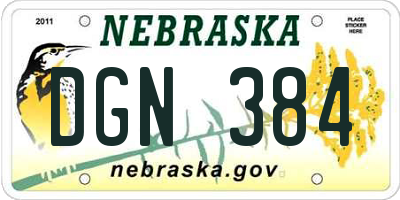 NE license plate DGN384