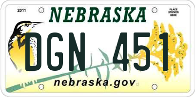NE license plate DGN451
