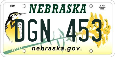NE license plate DGN453