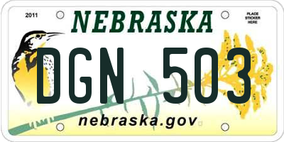NE license plate DGN503
