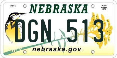 NE license plate DGN513
