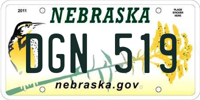 NE license plate DGN519