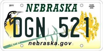 NE license plate DGN521