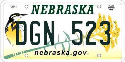 NE license plate DGN523