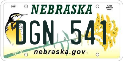 NE license plate DGN541