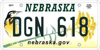 NE license plate DGN618