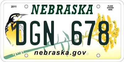 NE license plate DGN678