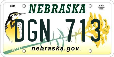 NE license plate DGN713