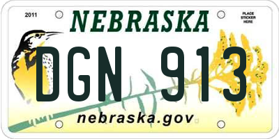NE license plate DGN913