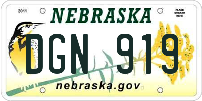 NE license plate DGN919