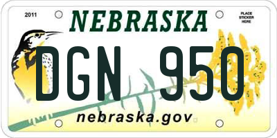 NE license plate DGN950