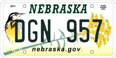 NE license plate DGN957
