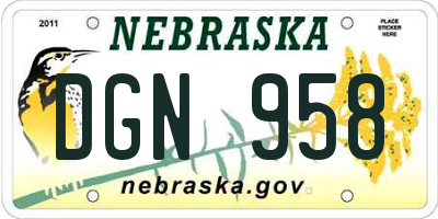 NE license plate DGN958