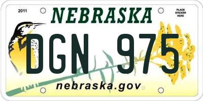 NE license plate DGN975
