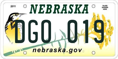NE license plate DGO019