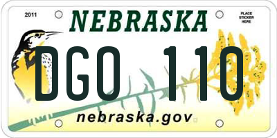 NE license plate DGO110