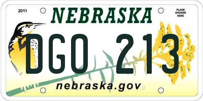 NE license plate DGO213