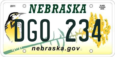 NE license plate DGO234