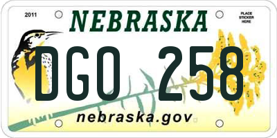 NE license plate DGO258