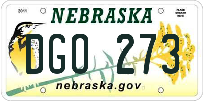 NE license plate DGO273