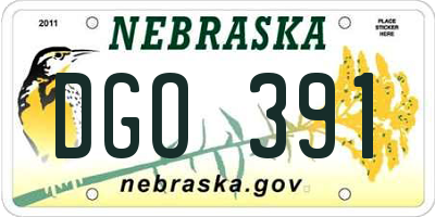 NE license plate DGO391